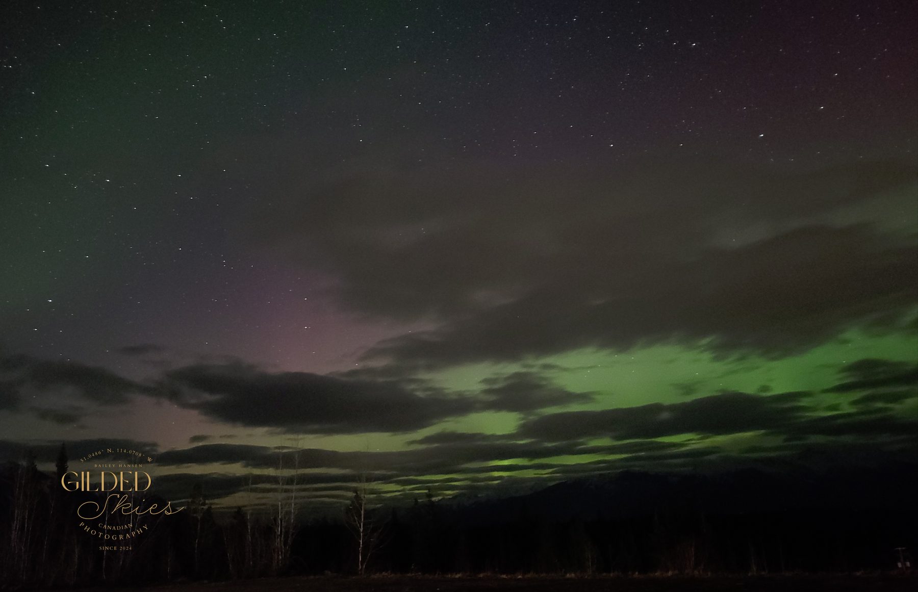 Soft Green Goodbye — aurora photography print